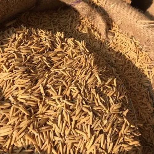 Organic Long Grain 1718 Brown Basmati Rice for Cooking