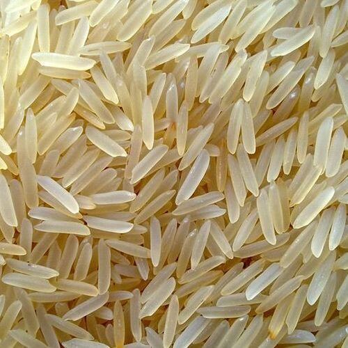 Organic Sugandha Creamy Sella Basmati Rice, Variety : Long Grain