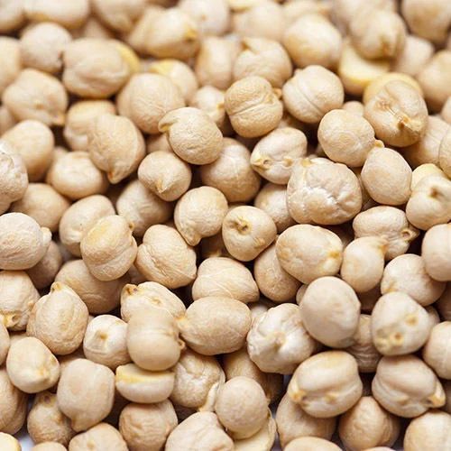 Legume White Kabuli Chana, Packaging Type : Bag for Cooking