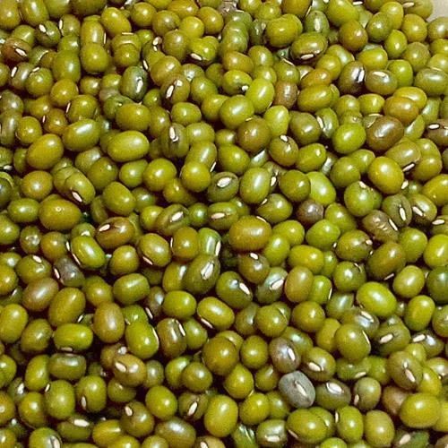 Indian Whole Green Moong Dal, Packaging Type : Bag for Cooking