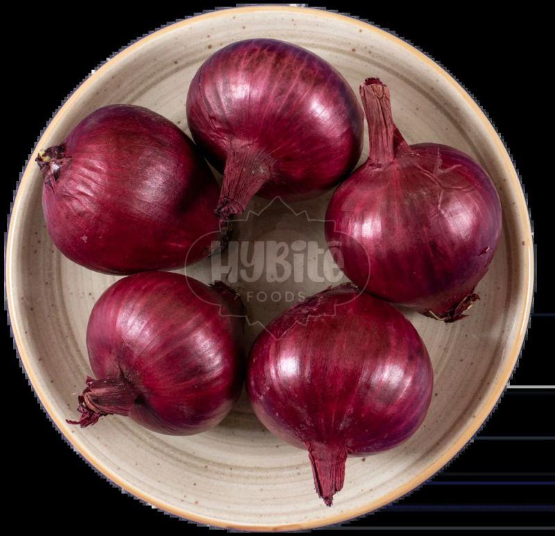 A Grade Fresh Garwa Onion