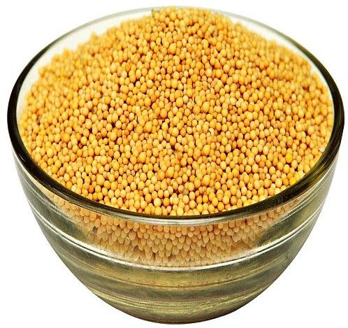 Yellow Mustard Seeds