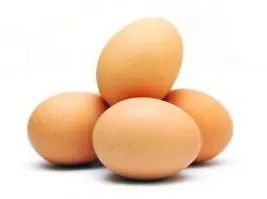 Broiler Hatching Eggs for Human Consumption