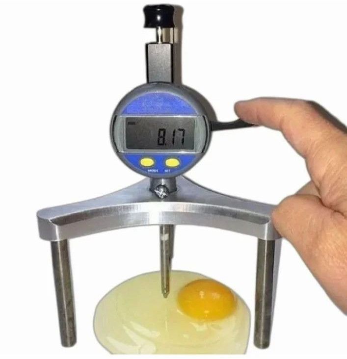 Egg Haugh Tester VT00000006