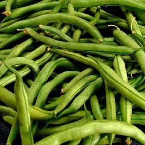 Fresh A Grade Green Beans, Packaging Type : Plastic Bag
