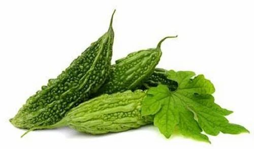 Fesh Green Bitter Gourd