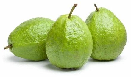 Fresh Green Guavas, Cultivation Type : Naturally Grown Carton Box
