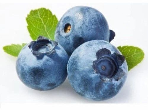 Naturally Grown Fresh Juicy Blueberries, Packaging Type : Punnet Box
