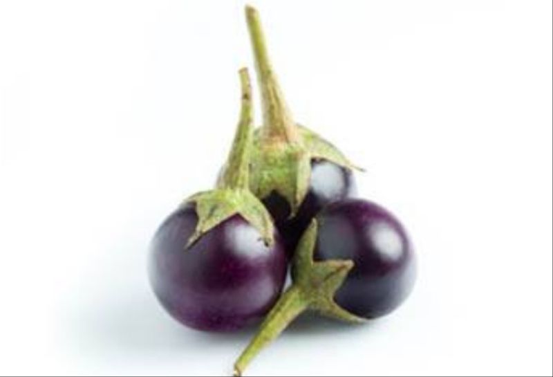 Fresh Round Brinjal