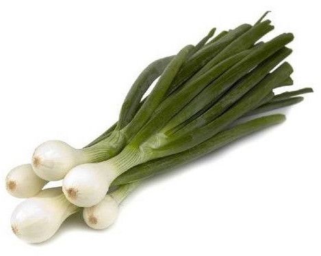 Fresh Spring Onions
