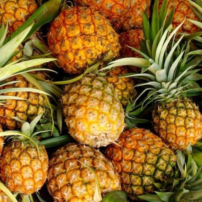 Fresh Sweet Pineapples