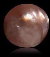 2.18 Carat Natural Basra Pearl Stone, Color : Soft Brown-white Blend