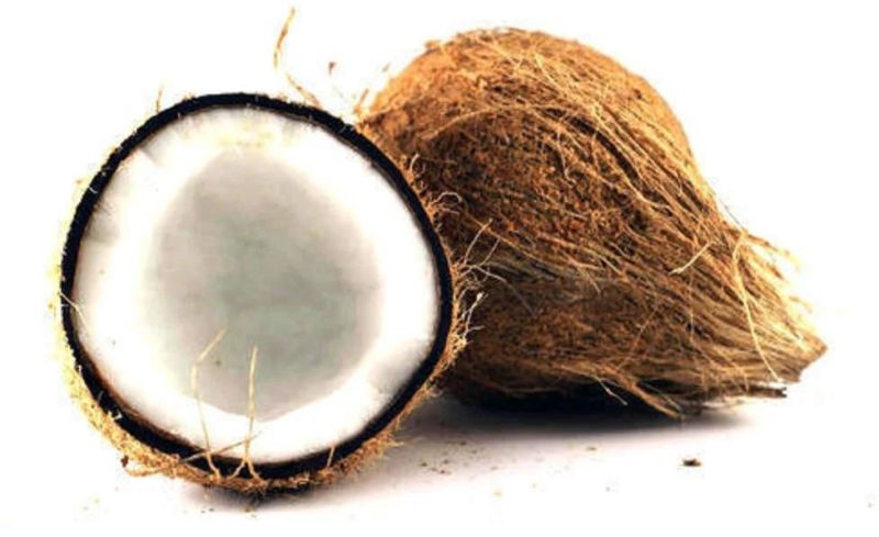 semi husked coconut