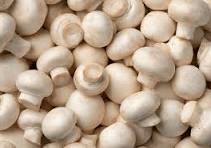 White Natural Button Mushroom