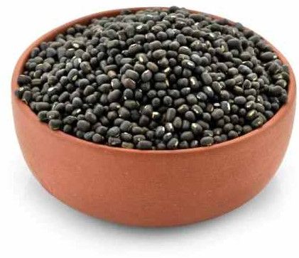 A Grade Organic Black Urad Dal for Cooking