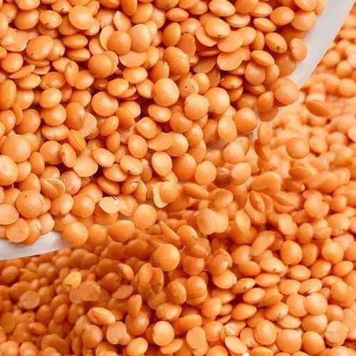 A Grade Red Organic Masoor Dal, Purity : 99.9% for Cooking