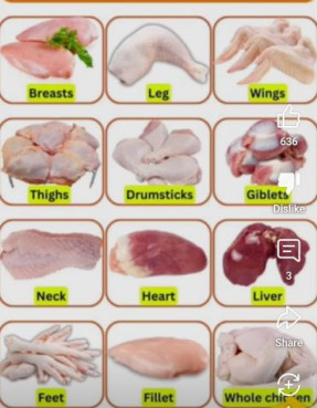 Frozen Chicken, Packaging Type : Plastic Bag