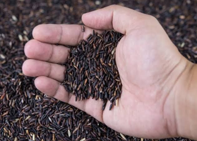Organic Black Rice