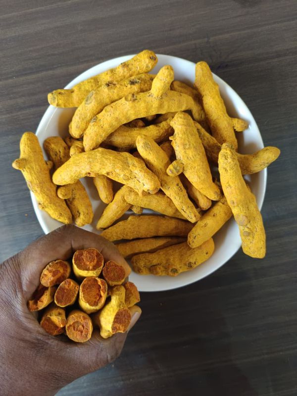 Rajapuri Turmeric Finger