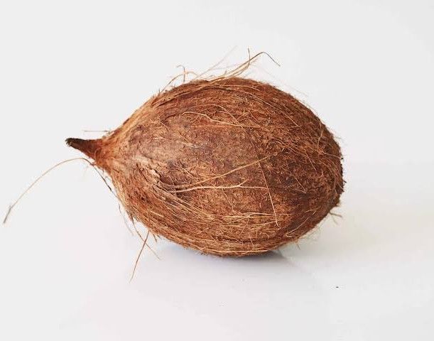 coconut