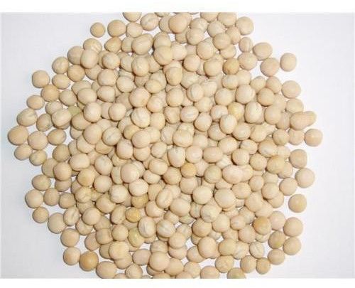 White Pea