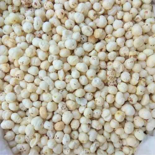 4 Suta Phool Makhana