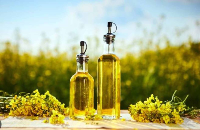 Refined Canola Oil