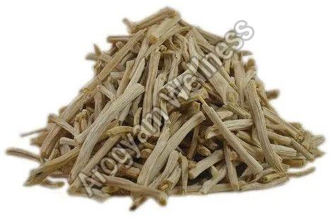 Organic Shatavari Root