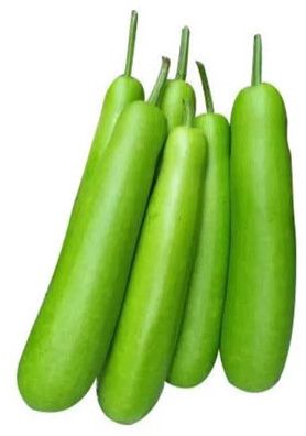 Fresh Bottle Gourd for Cooking, Restaurant