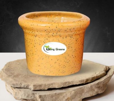 Ceramic POT For Succulents, Shape : Round