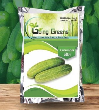 Organic Hybrid Cucumber Seeds