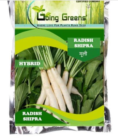 Hybrid Radish Seeds for Sowing Planting