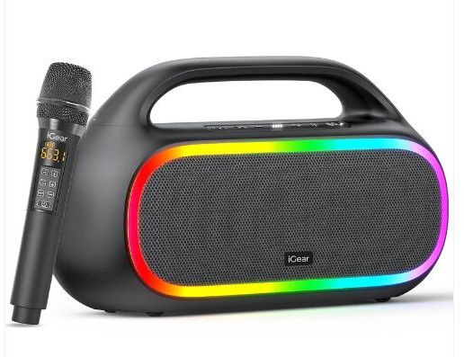 Igear Grape Karaoke Ready Portable Wireless Speaker