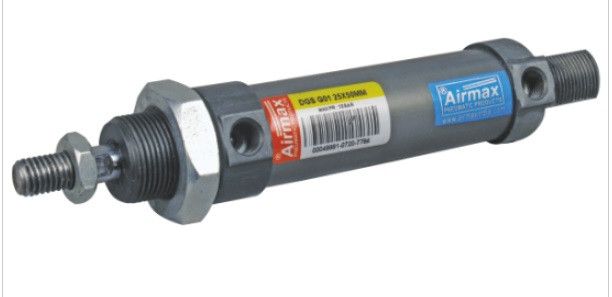 Magnetic Pneumatic Cylinder (Dgs Model)