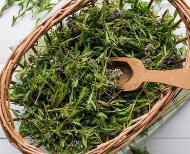 Thyme Leave