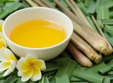 Organic Citronella Oil