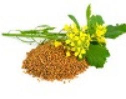 Organic Mustard Seeds for Cooking, Tadka, Dips, Garnishings