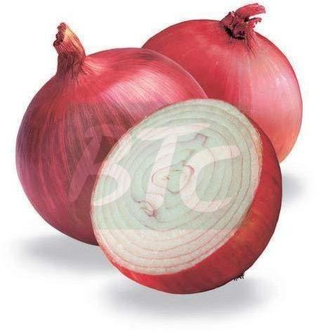 fresh red onion