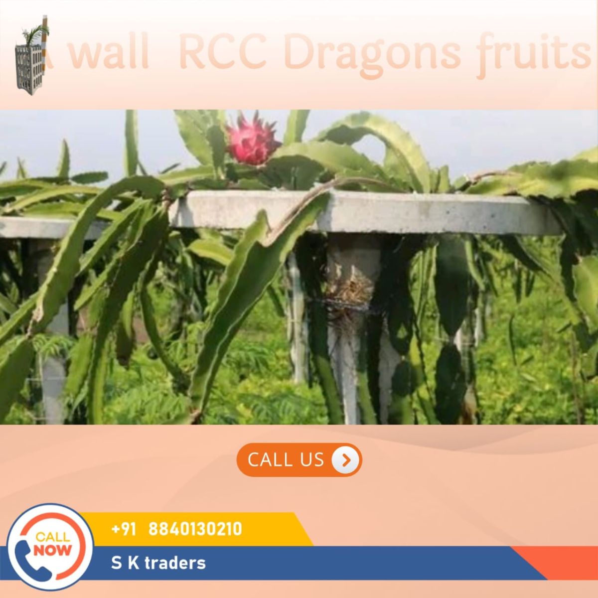 RCC Dragon Fruit Pole