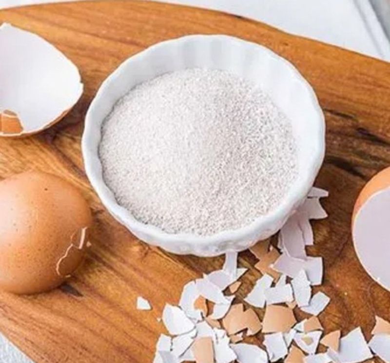 Eggshell Powder