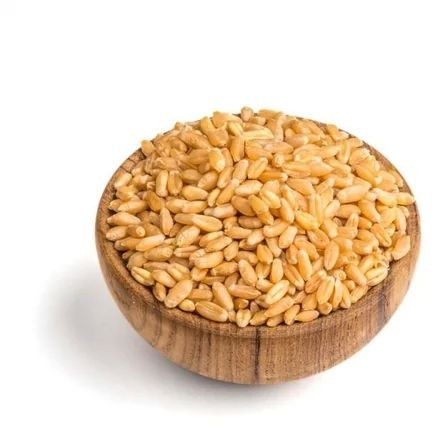 Durum Wheat Grain for Cooking, Baking, Packaging Type : Bag