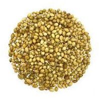 Dhania, Botanical Name : Coriandrum Sativam