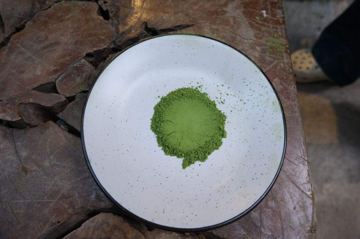 Matcha Tea