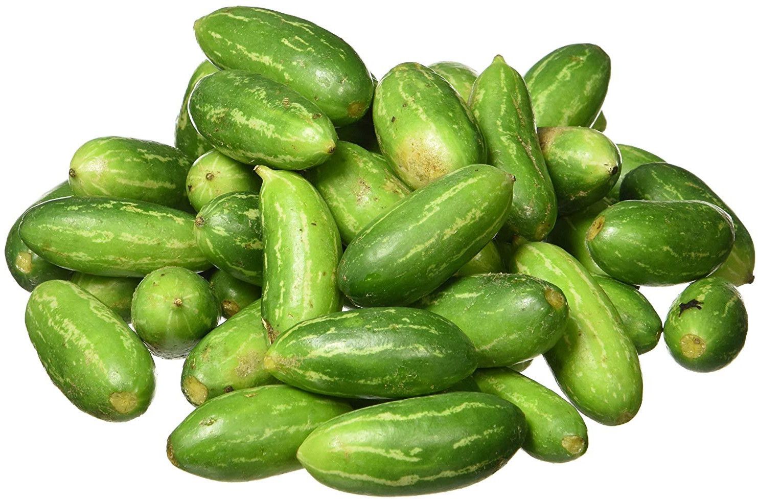 Fresh Green Ivy Gourd