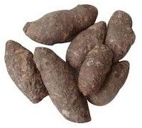 Fresh Natural Pidikaranai Root, Packaging Type : Freshly Cleaned