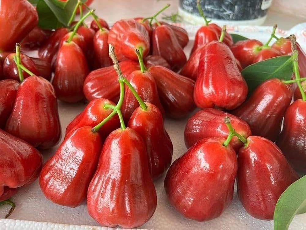 Juicy Pink Wax Apple