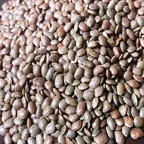 Brown Horse Gram Dal for Cooking