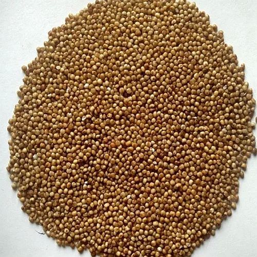 Brown Organic Little Millet Seeds