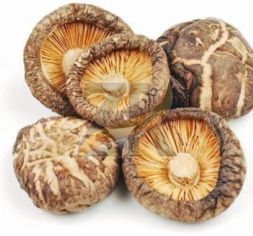 Dried Gourmet Shitake Mushroom, Packaging Type : Vacuum Pack