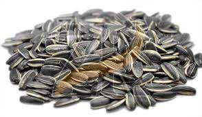 Premium Grade Gray Organic Sunflower Seeds, Packaging Size : 1kg